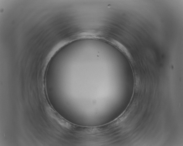 X0000070881435200606231332