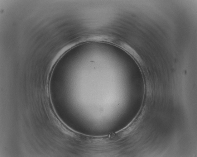 X0000070881436200606231332