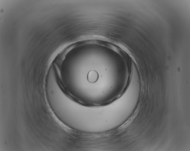 X0000070881438200606231332