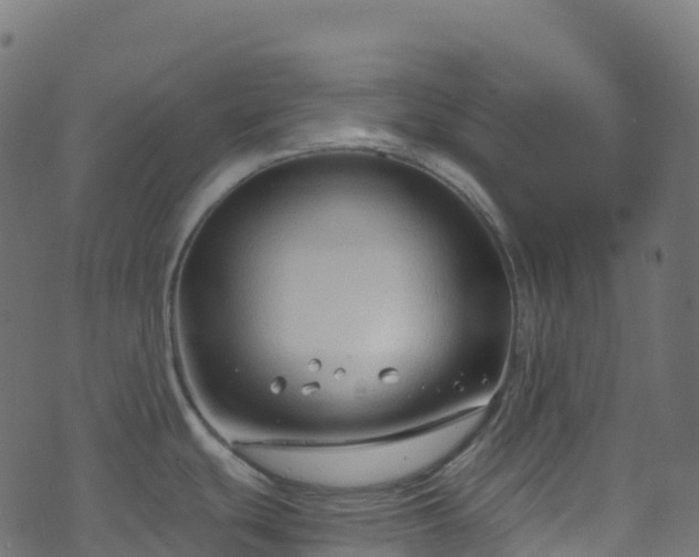 X0000070881439200606231332