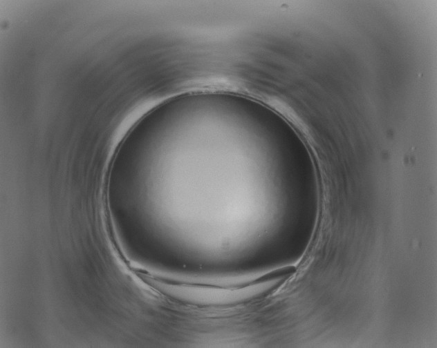 X0000070881440200606231332