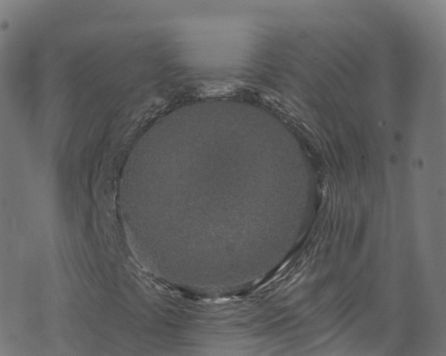 X0000070881441200606231331