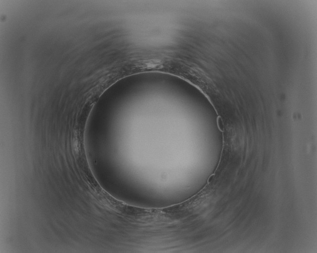 X0000070881442200606231331