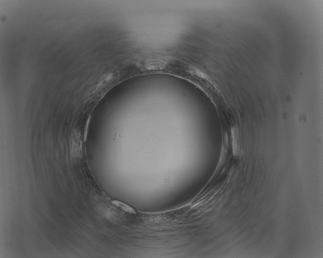 X0000070881443200606231331