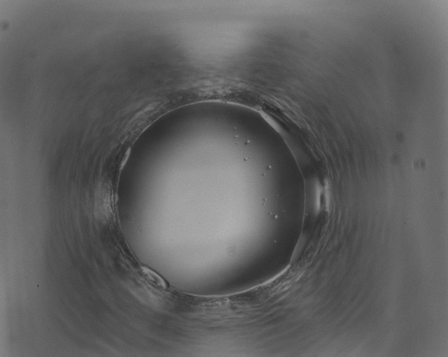 X0000070881444200606231331