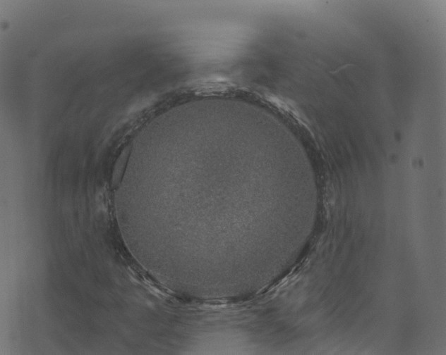 X0000070881445200606231331