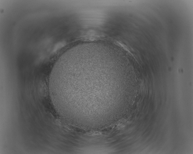 X0000070881446200606231331