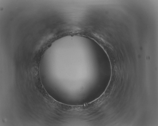 X0000070881447200606231331