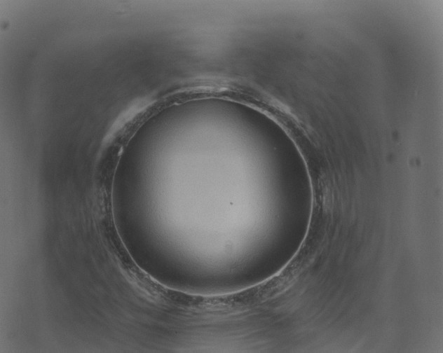 X0000070881448200606231331