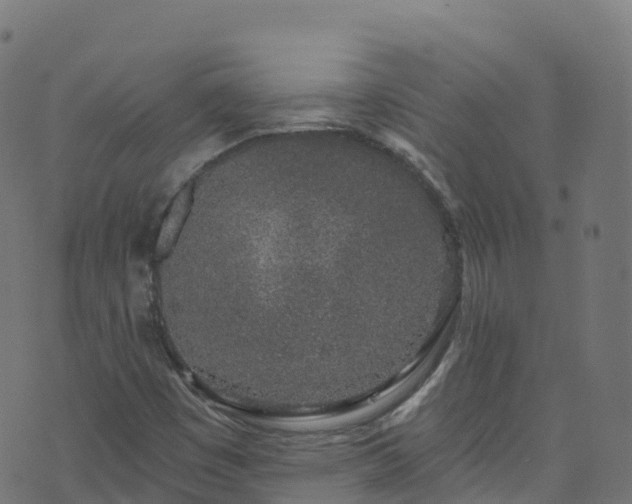 X0000070881449200606231331