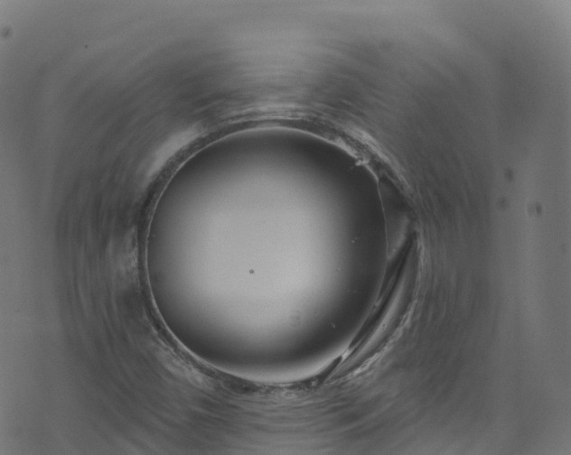 X0000070881450200606231331