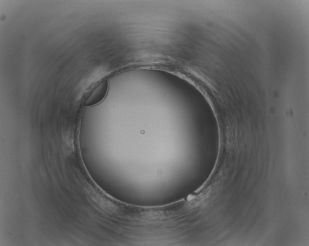 X0000070881451200606231331