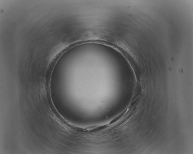 X0000070881452200606231331