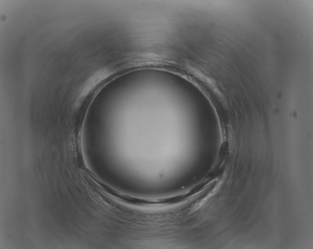 X0000070881453200606231331