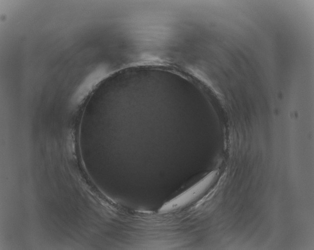 X0000070881455200606231331