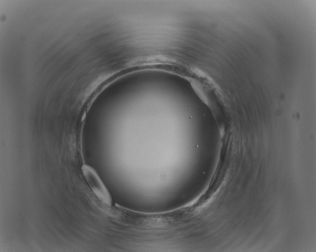 X0000070881457200606231331