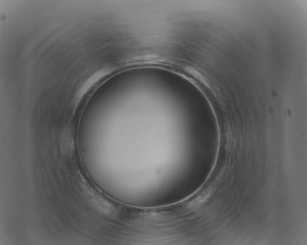 X0000070881458200606231331