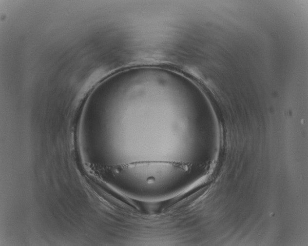 X0000070881459200606231331