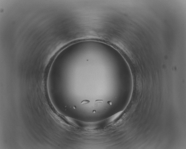 X0000070881460200606231331