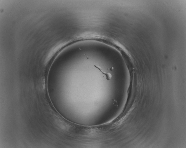 X0000070881461200606231331