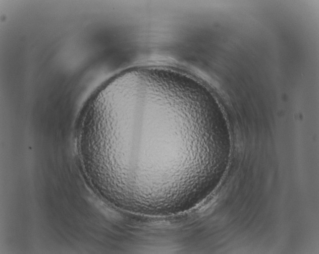 X0000070881462200606231331