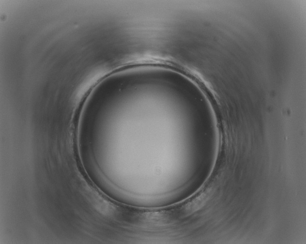 X0000070881463200606231331