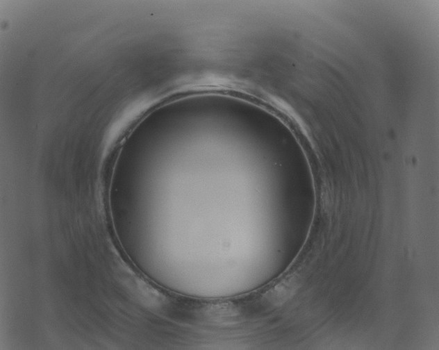 X0000070881464200606231331