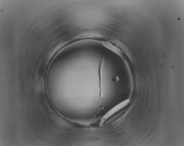 X0000070881465200606231330