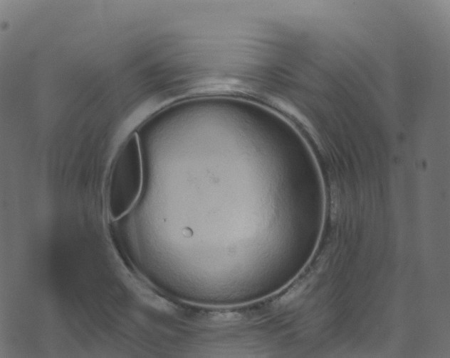 X0000070881467200606231330