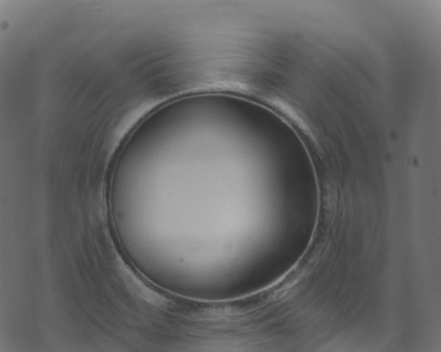 X0000070881468200606231330