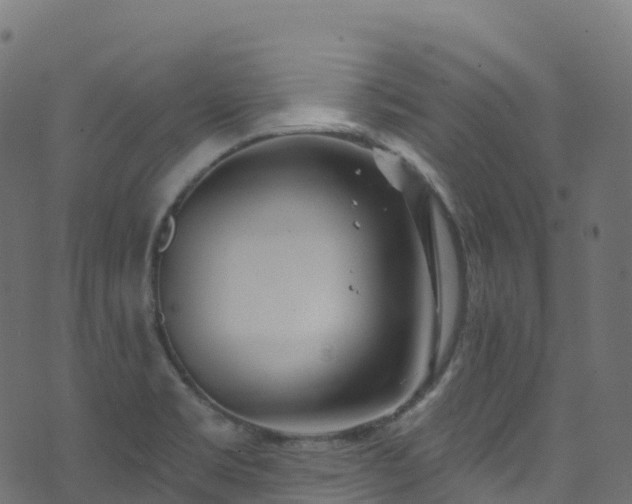 X0000070881469200606231330