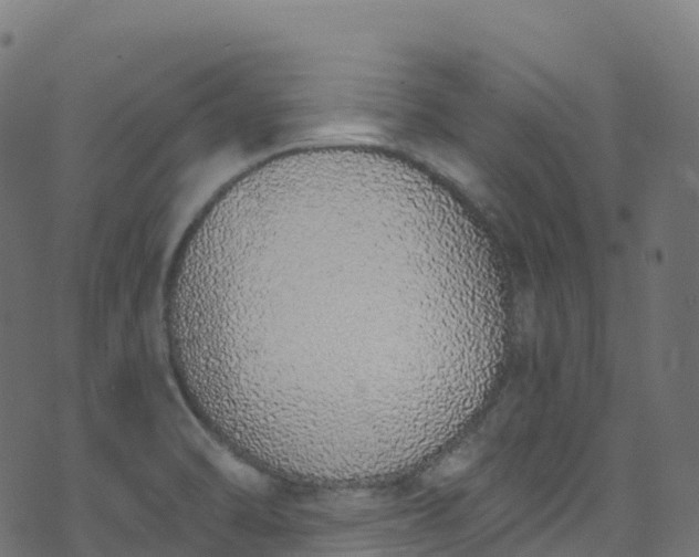 X0000070881470200606231330