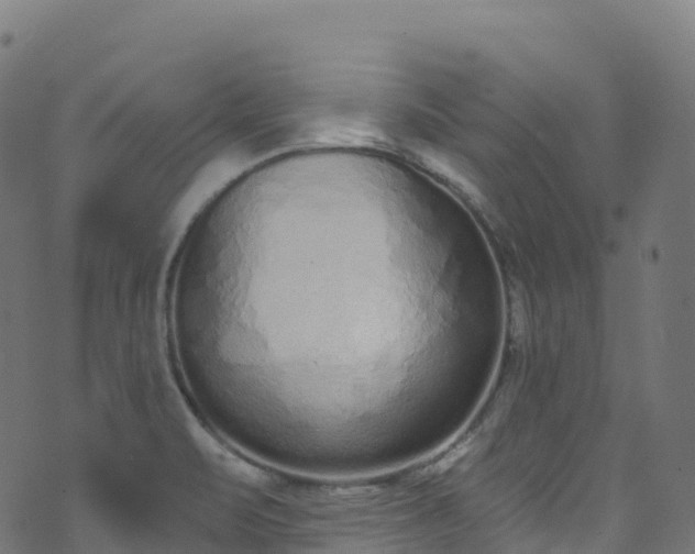 X0000070881471200606231330