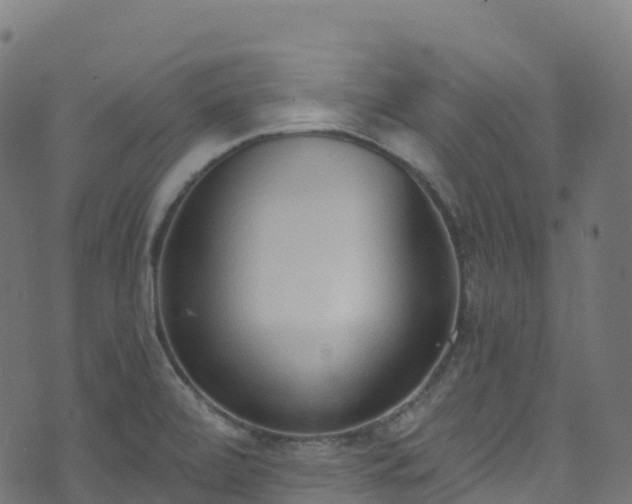 X0000070881472200606231330