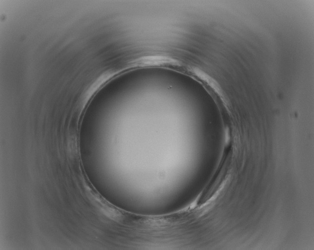 X0000070881473200606231330