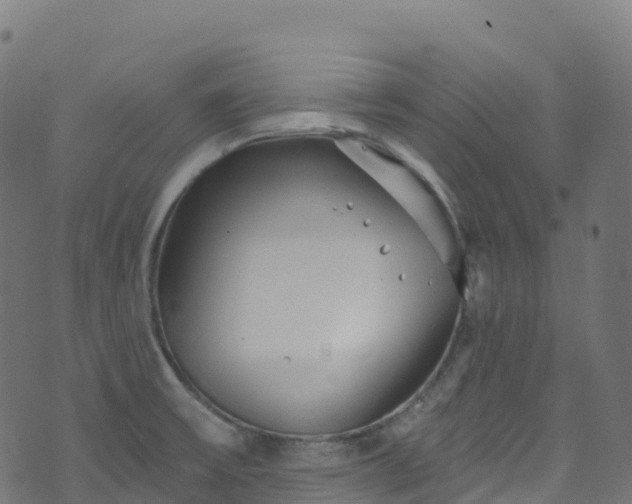 X0000070881475200606231330