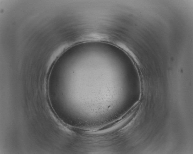 X0000070881477200606231330