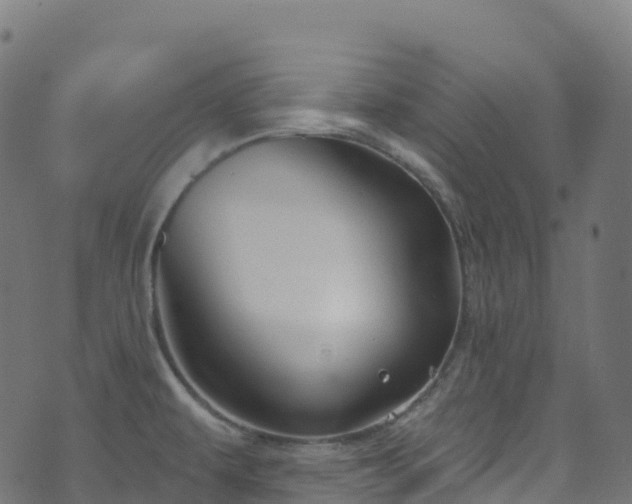 X0000070881479200606231330