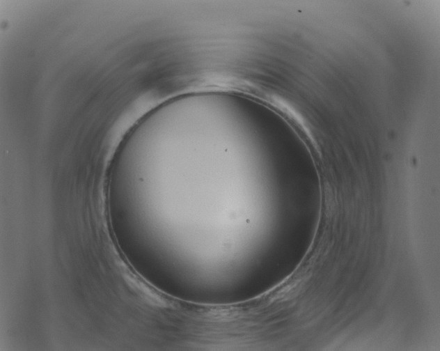 X0000070881480200606231330