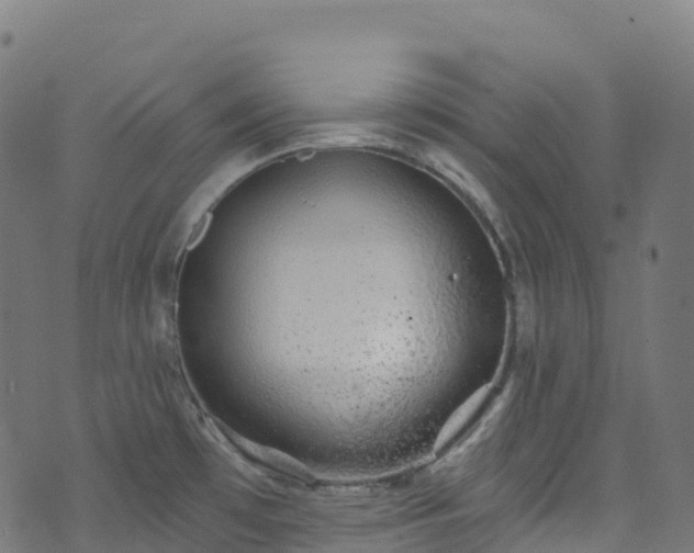 X0000070881481200606231330