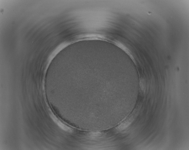 X0000070881482200606231330