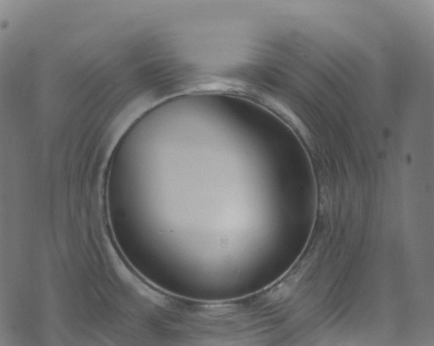 X0000070881483200606231330