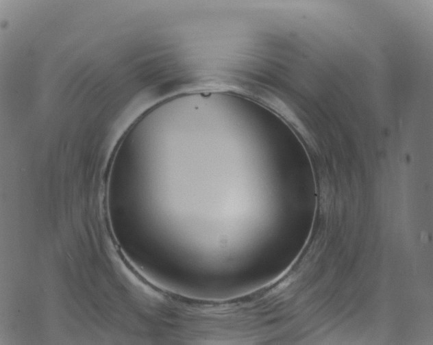 X0000070881484200606231330