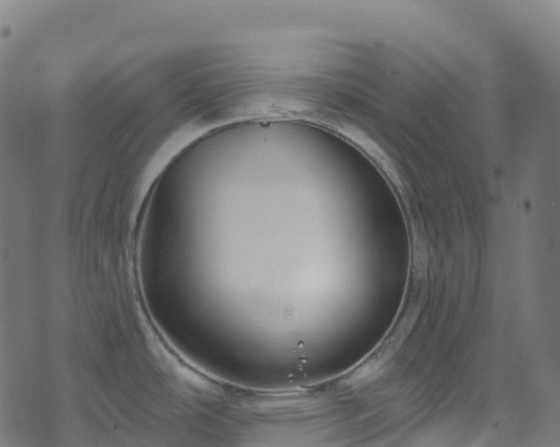 X0000070881486200606231330