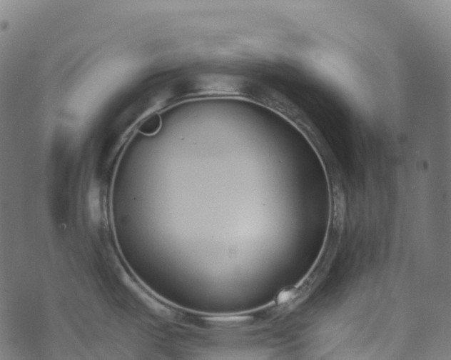 X0000070881487200606231330