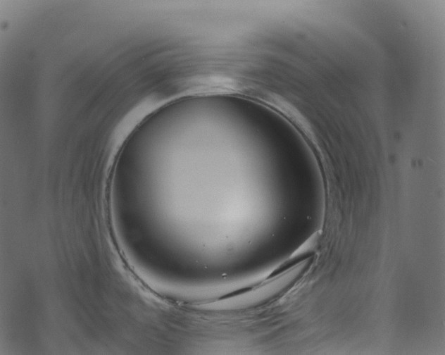 X0000070881488200606231330