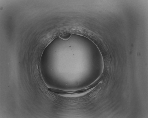 X0000070881489200606231329