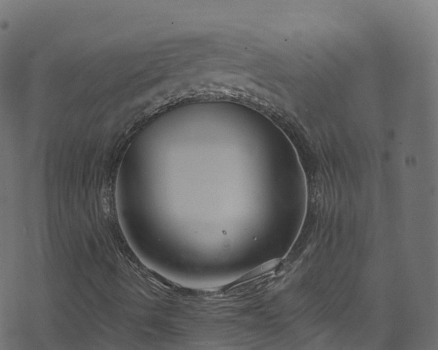 X0000070881490200606231329