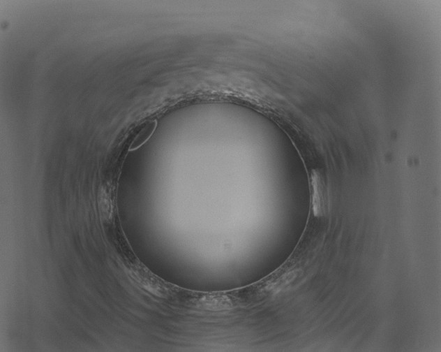 X0000070881491200606231329