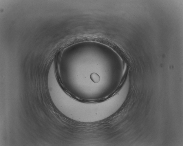 X0000070881492200606231329